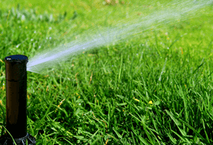 Lawn irrigation sprinkler system